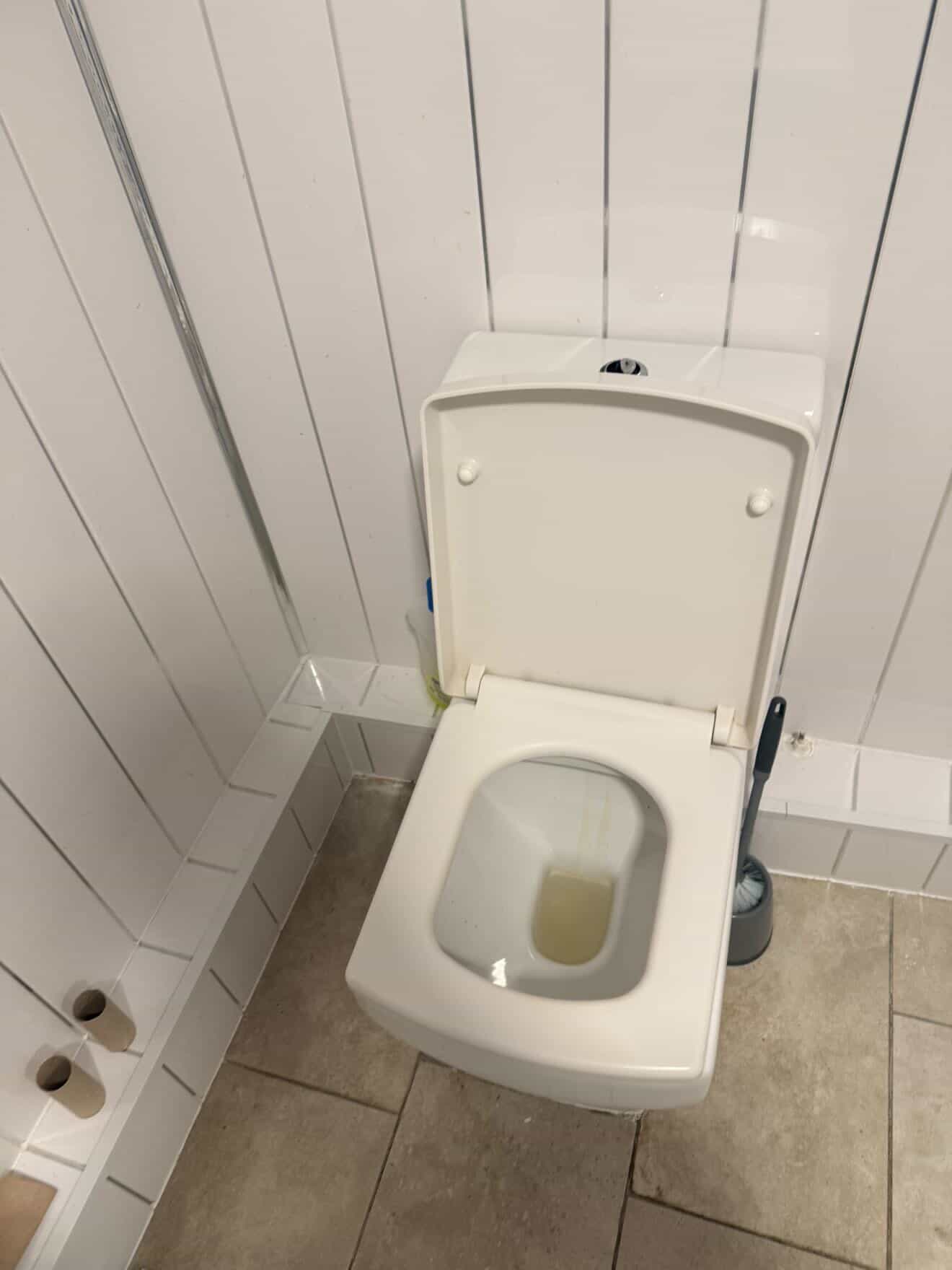 Toilet area before a detailed clean.